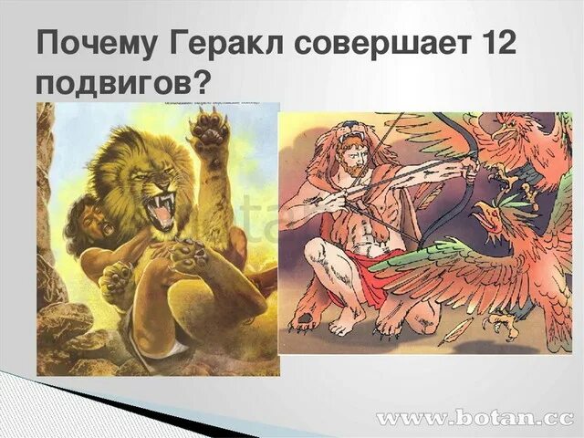 Почему 12 подвиг был самым трудным. 12 Подвигов Геракла иллюстрации. Геракл совершил 12 подвигов. Почему 12 подвиг Геракла. Третий подвиг: Стимфалийские птицы.