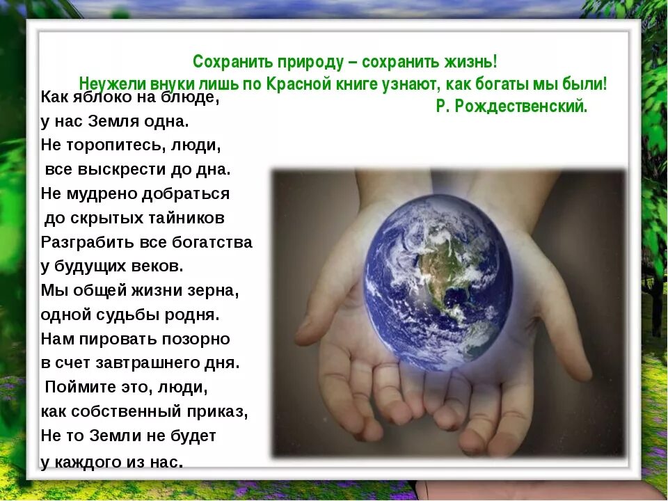 Для сохранения природы необходимо. Как сохранить природу. проект сохранение природы. как сберечь природу. сохрани природу презентация.