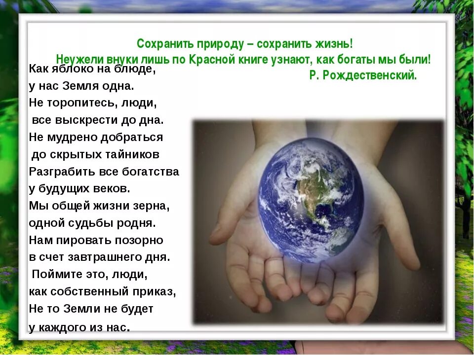 Что делает охрана природы. Сохранение природы. Презентация на тему экология. Защита природы. Как сберечь природу.