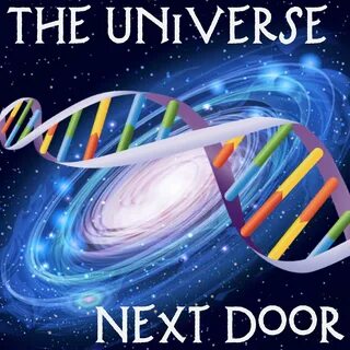 Next universe