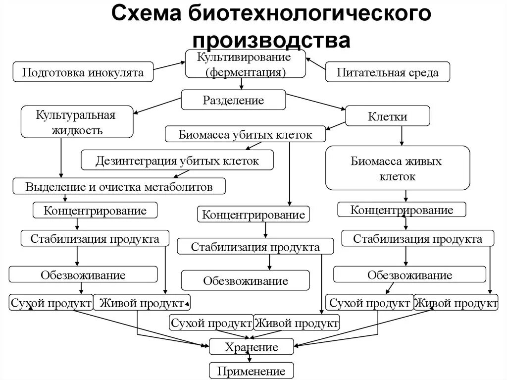 Какие из перечисленных методов используются в биотехнологии