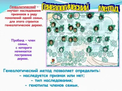 Родословная по цвету глаз
