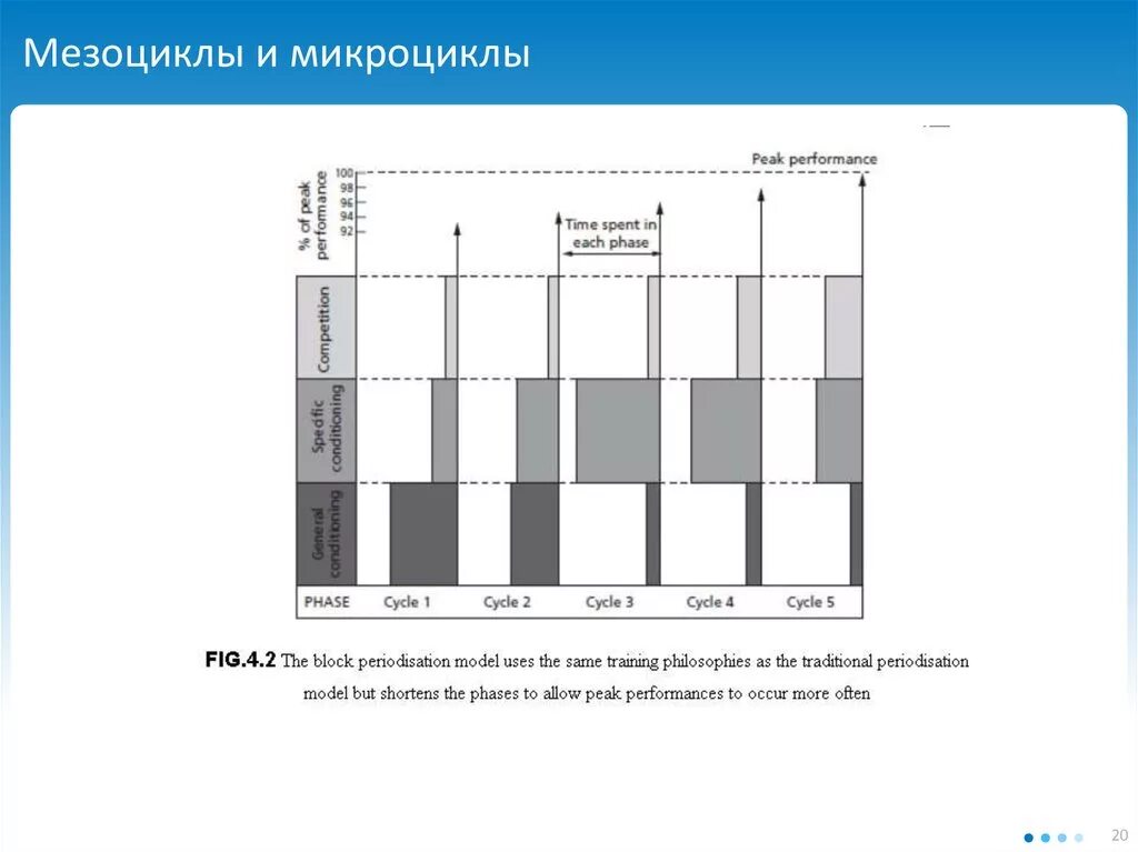 Микроцикл мезоцикл. Схема построения тренировочного мезоцикла. Мезоциклы спортивной тренировки. Планирование мезоцикла. Микроцикл в спорте