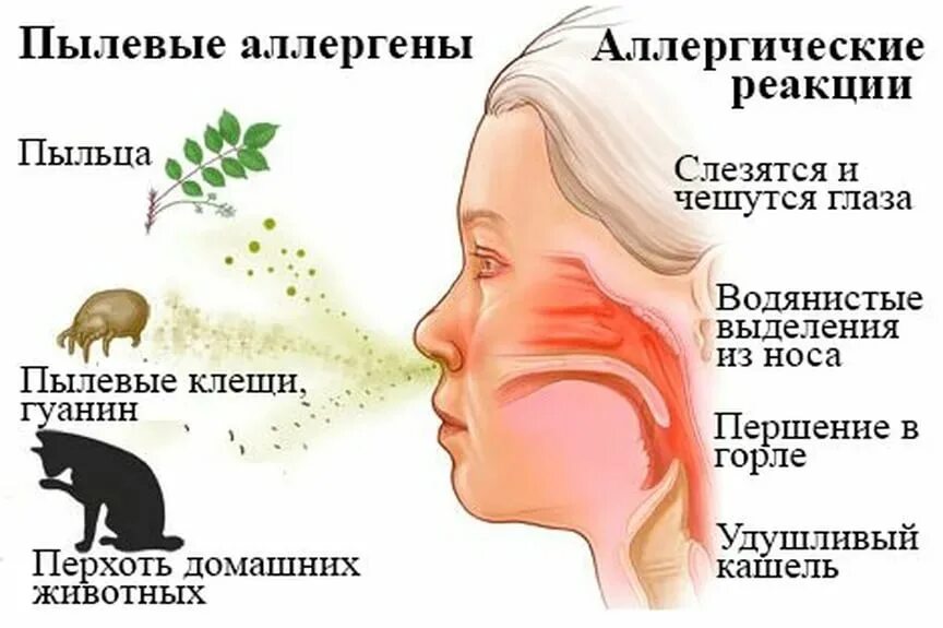 Зуд в горле вызывающий кашель