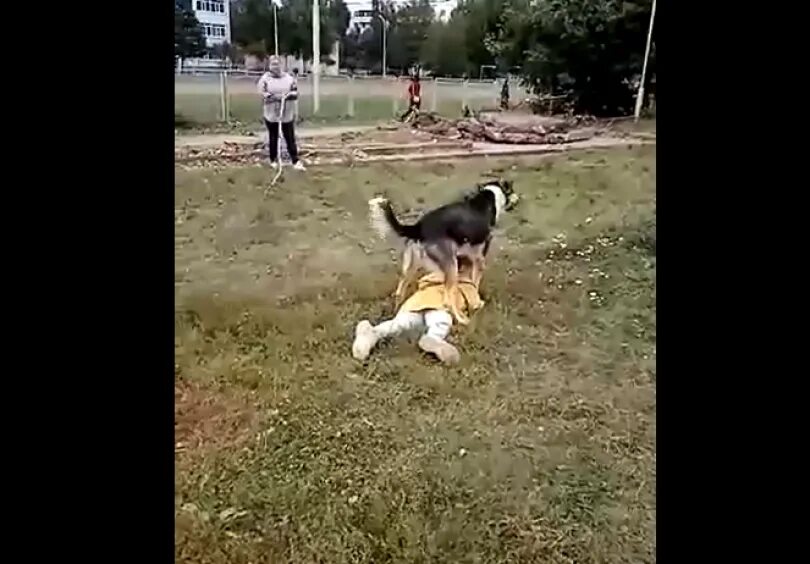 Видео девочка съела