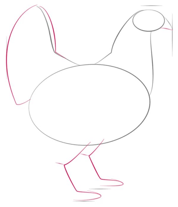 Рисование курица. Схема рисования курица для детей. Пошаговое рисование курицы. Поэтапное рисование курицы для детей.