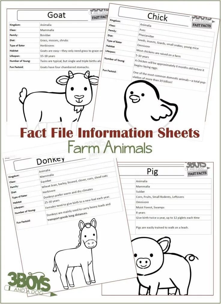 Facts about animals. Animal fact file. Fact file о животном. Animals fact file Worksheets. Animal fact file заполнить про животное.