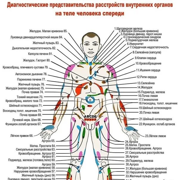 Висцеральный массаж книга. Огулов методы функциональной диагностики в висцеральной практике. Методы функциональной диагностики огулов книга. Книга современные методы диагностики в висцеральных практиках. Методы функциональной диагностики огулов книга.