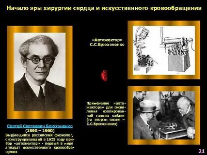 Брюхоненко