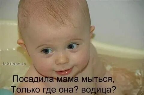 Я и маму посажу