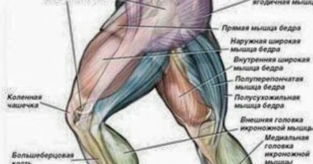 Ходьбы по лестнице для похудения упражнения. Икры камбаловидная мышцы упражнения. Упражнение подъем по ступенькам. Упражнение для икроножных мышц подъем на носки. 261940 тренажер имитирующий подъем по лестнице без электропитания.