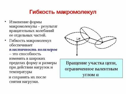 Сегменты образования