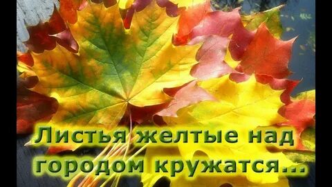 Листья желтые слова караоке