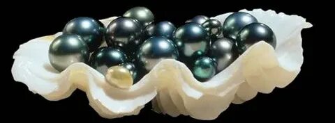 7 pearls