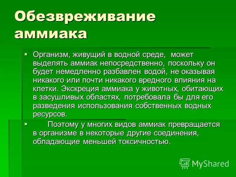 Мочевина у каких животных