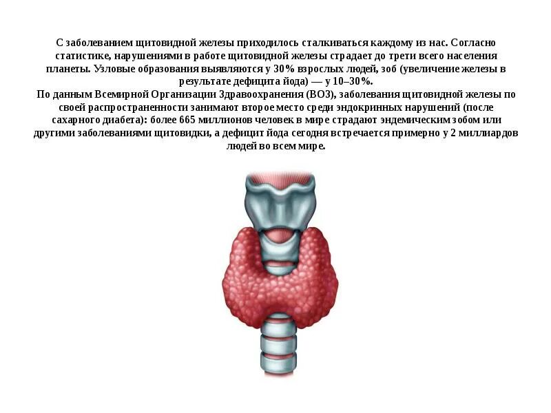 Образования правой доли щитовидной железы. Образование щитовидной железы. узловые образования щитовидной. образования в щитовидной железе. многоузловое образование щитовидной железы.