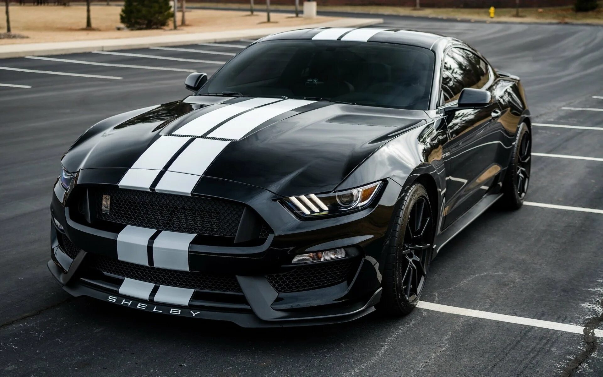 Ford Mustang Shelby gt350. Ford Mustang Shelby gt350 чёрный. Форд Мустанг Шелби 2018. Форд Мустанг Шелби gt 500. Машина с черными полосками