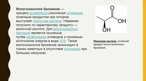Конечными продуктами брожения являются