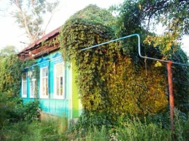Дом помещика андреевка. Погода андреевка ульяновская обл. Село андреевка ульяновская область. Дом помещика андреевка. Новая андреевка ульяновская область.