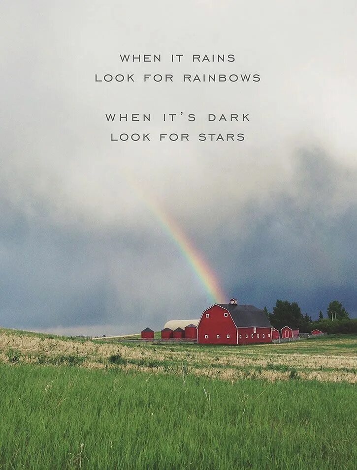 Looking for the rain. When it Rains look for Rainbows when it's Dark look for Stars. When it Rains. When it Rains look for Rainbows when it's Dark look for Stars в белой овальной оправе. It's a Rainy Day.