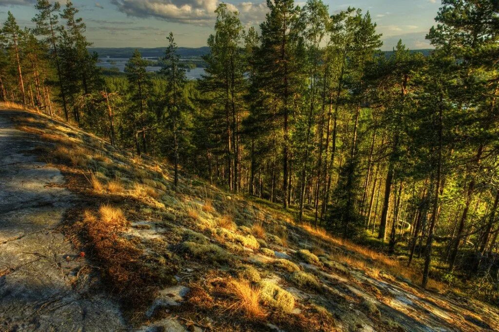 Природа северо запада района. Калевальский национальный парк. Северзападный Кивач ландшафт. Калевальский национальный парк фото. Карелия СЗФО природа.