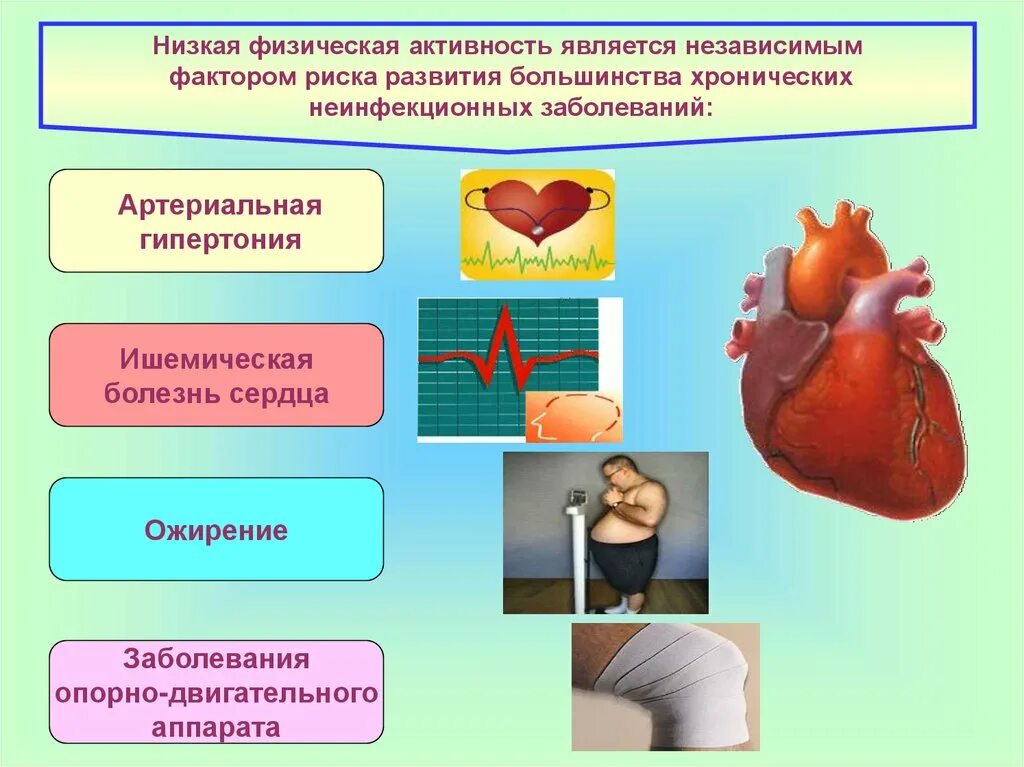 Низкая физическая активность. Фактор риска низкая физическая активность. Низкая двигательная активность является фактором риска развития. Факторы риска физической активности.