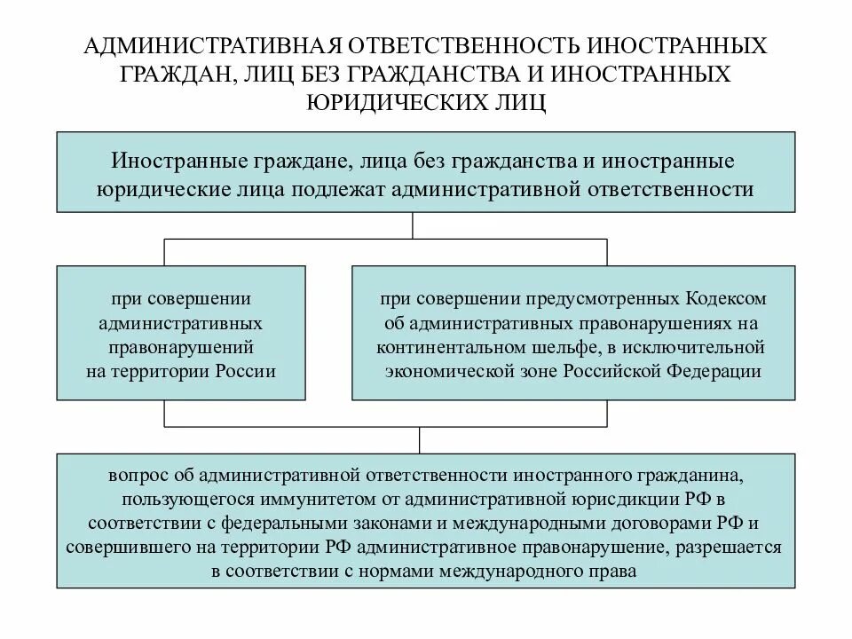 Подлежат ли ответственности иностранные граждане