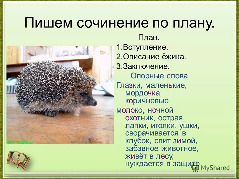 Сочинение описание животного 5. Сочинение про ежика. Ежик описание. Описание ежика сочинение. Еж сочинение.