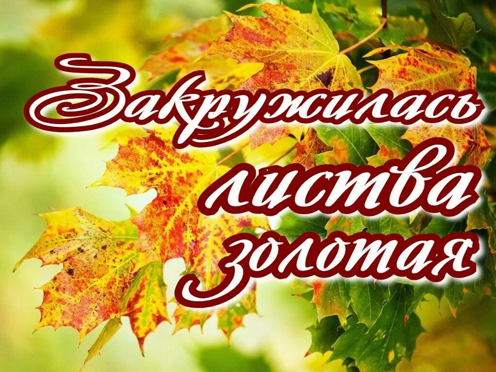 Книжная выставка для малышей. Название книжной выставки. Флага россии. Название выставки по краеведению. Шаблоны названий книжных выставок в библиотеке.