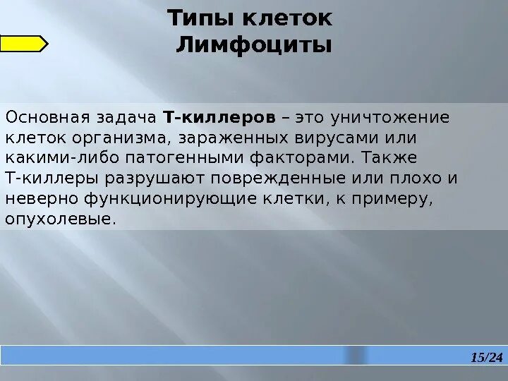 Функционирует неправильно. Основная функция т-киллеров это. Т-киллеры функции. Роль т киллеров. Основной функции т киллеры.