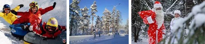 токсово новый год