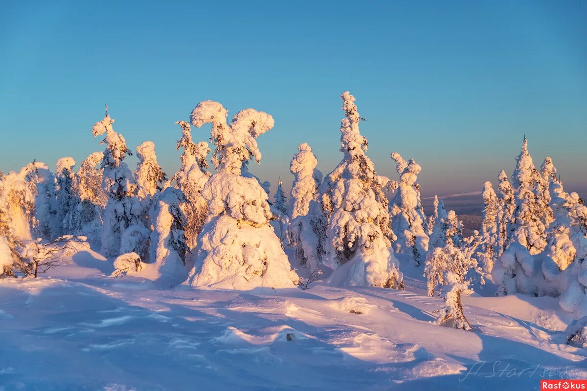 собор троицы живоначальной в лысьве. лысьва природа. старцев пермский край. лес зимой пермский край. гора хариусный камень.