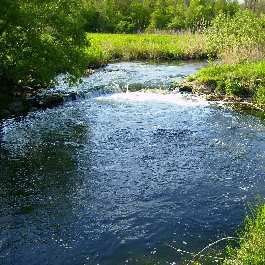 Притоки реки Кальмиус. Кальмиус ДНР река. Плотина на реке Кальмиус. Река Кальмиус в Донецке.