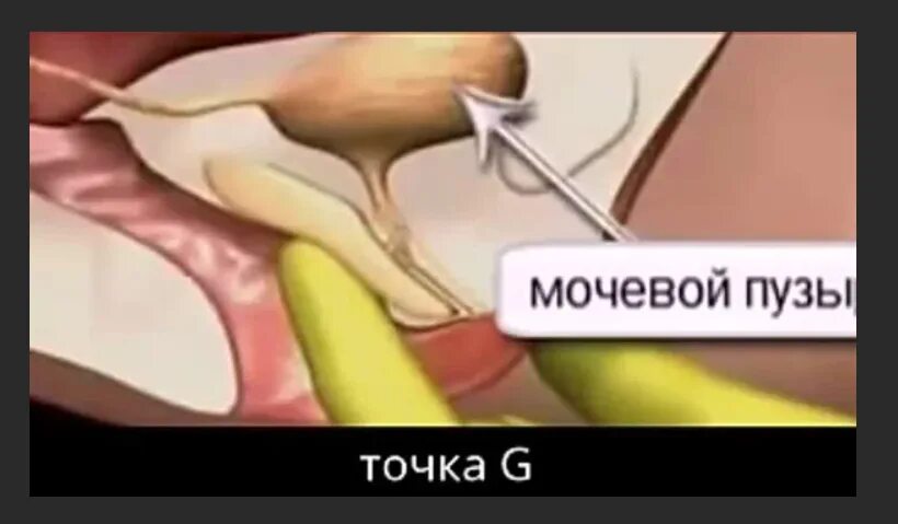Сквирт Во Время Акта