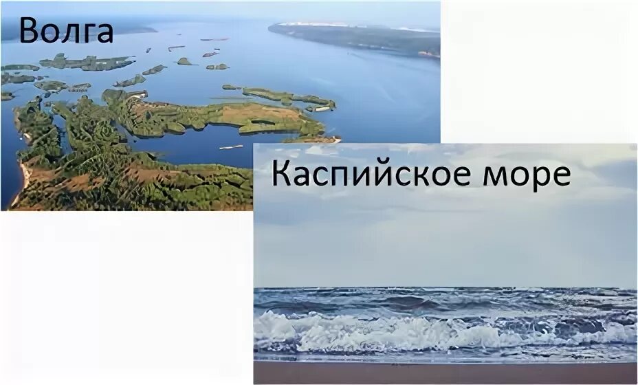 Река волга впадает в каспийское море знаки. Волга впадает в Каспийское море. Впадение Волги в Каспийское море. Фото где Волга впадает в Каспийское море. Волга впадает в Каспийское море рисунок.