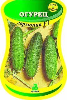 Сорт огурца гармония