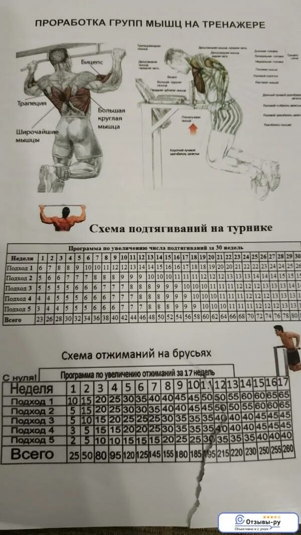 Система подтягиваний. Таблица подтягиваний и отжиманий. программа подтягиваний на турнике на массу. тренировка отжиманий и подтягиваний. схема тренировок на турнике и брусьях.