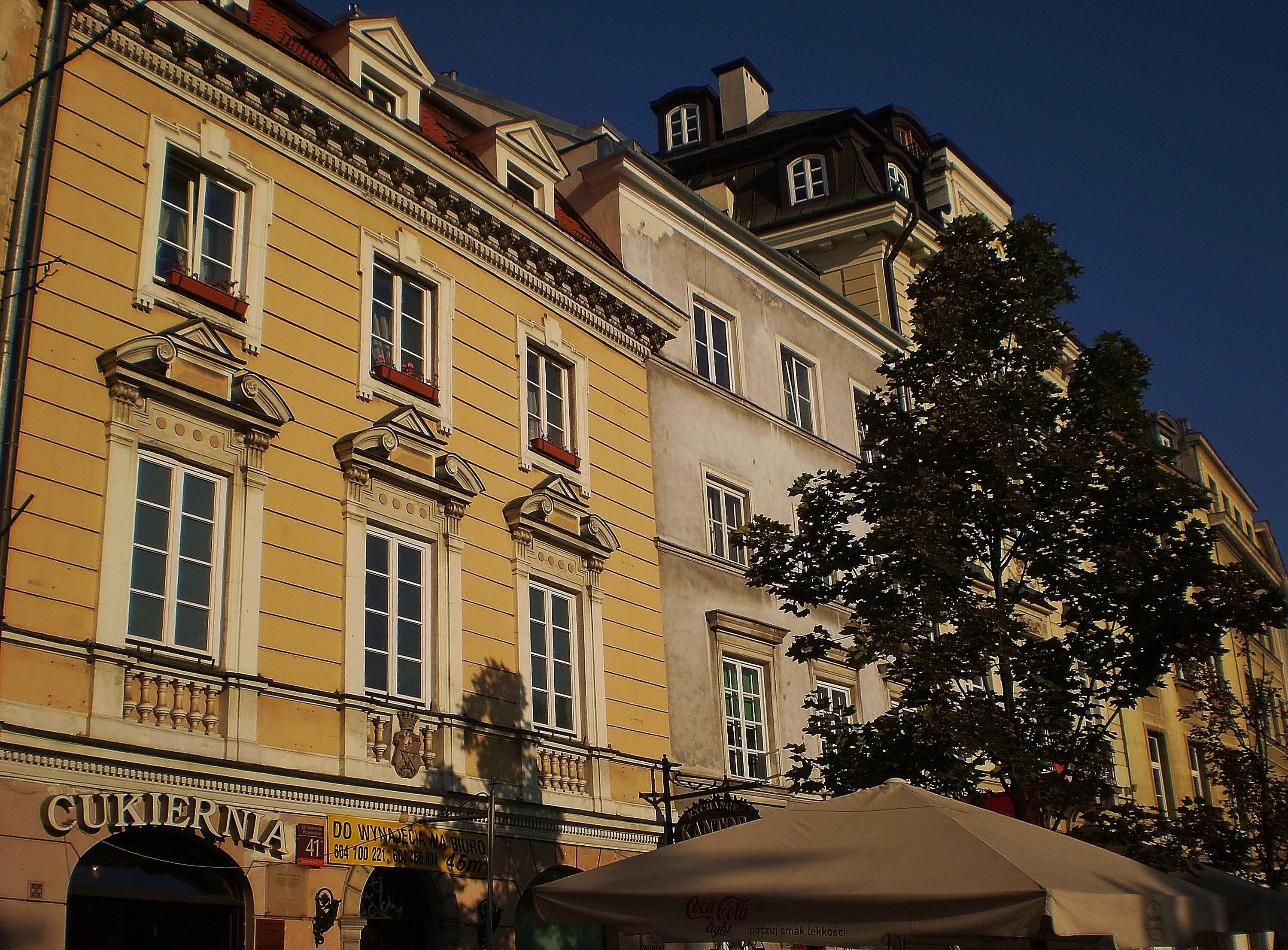 варшава домики. варшава пригород дома. дом под варшавой. дом варшава проект. канония варшава.