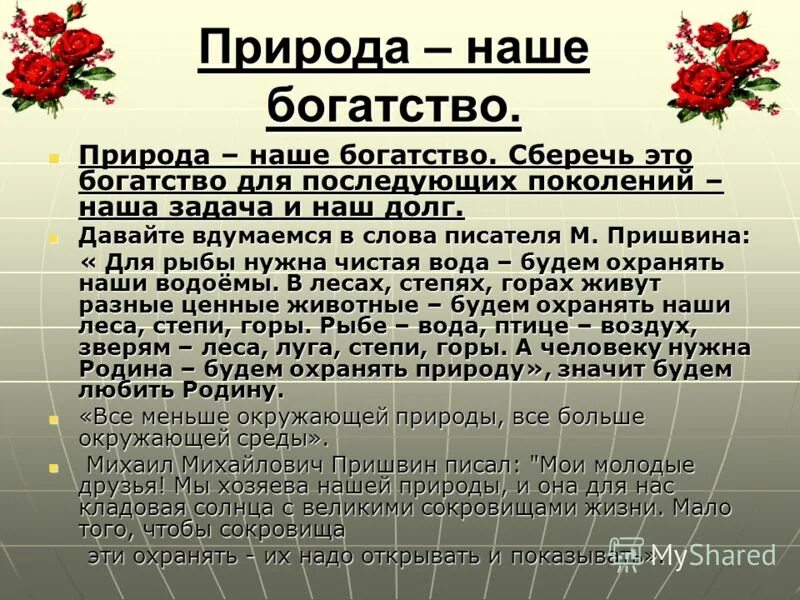 Богатство эссе. Богатство эссе