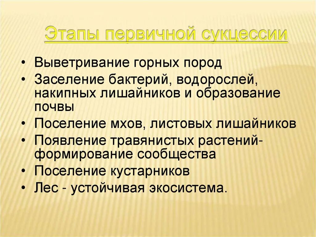 Этапы сукцессии. Стадии экологической сукцессии. Этапы первичной сукцессии. Этапы экологической сукцессии. Сукцессия лишайники