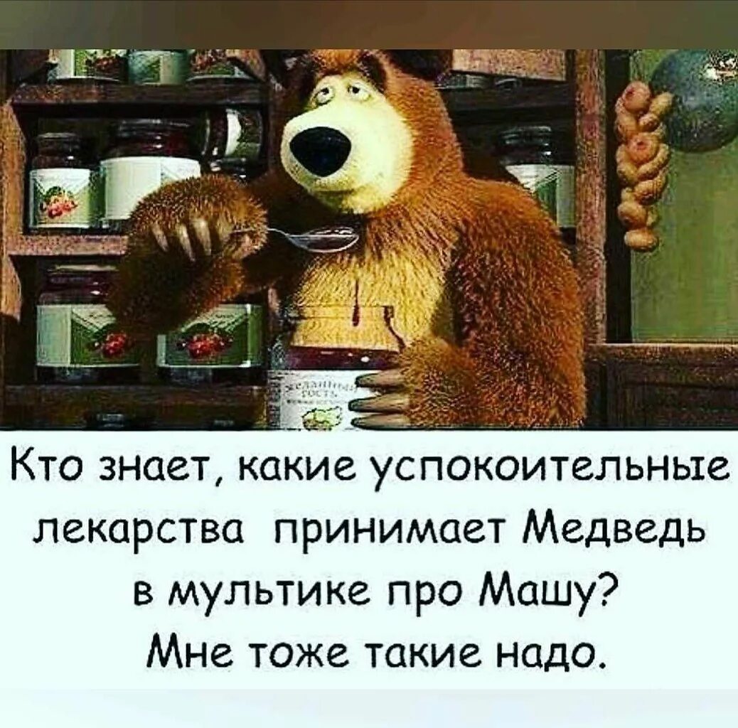 Приколы про машу и медведь. Смешной медведь из Маша и медведь. Маша и медведь приколы. Анекдоты про Машу.