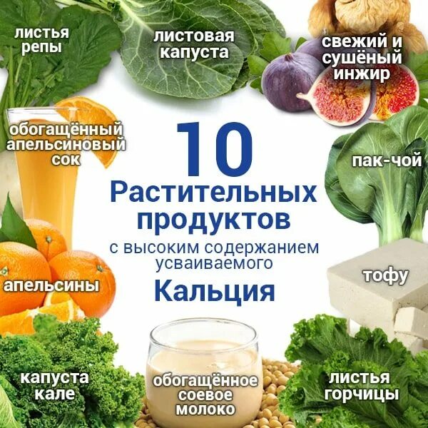 В каком овоще больше всего кальция. Растительная пища с высоким содержанием кальция. кальций в растительных продуктах таблица. кальций в растительных продуктах. источник кальция в продуктах.