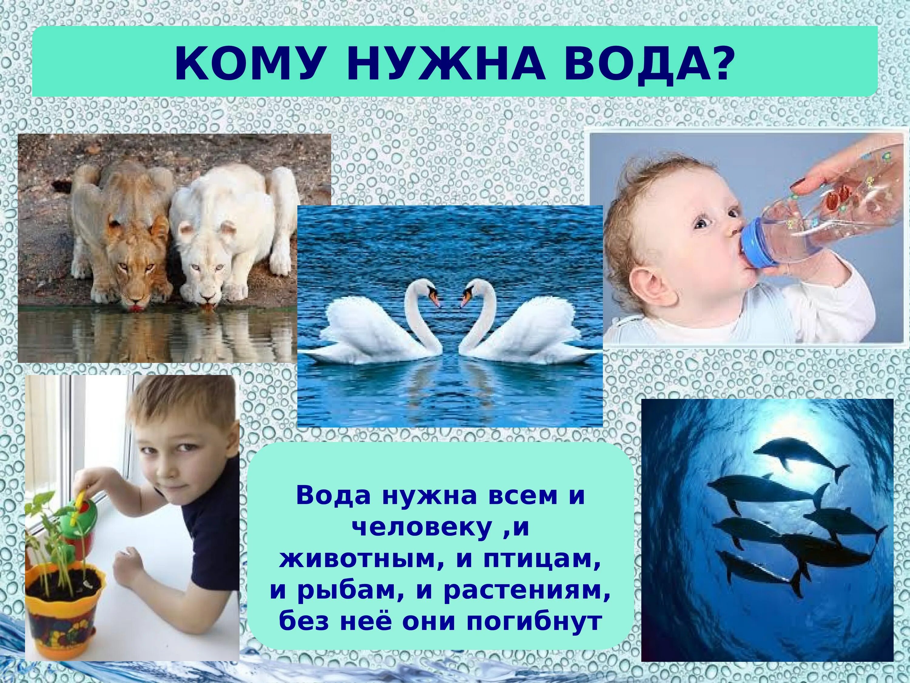 Дети 4 года про воду. Вода источник жизни для дошкольников. Картинки про воду для дошкольников. Вода слайд. Вода для презентации.