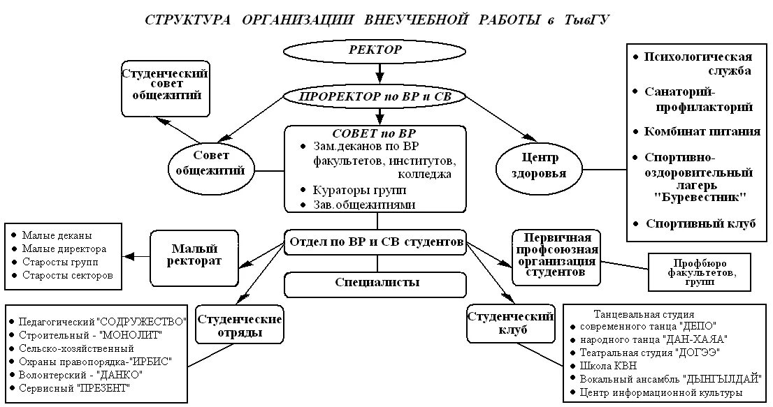 Направления деятельности воспитательной работы. Совершенствование воспитательной работы в вузе. Организация воспитательной работы в вузах. Виды внеучебной деятельности студентов. План воспитательной работы для студентов.
