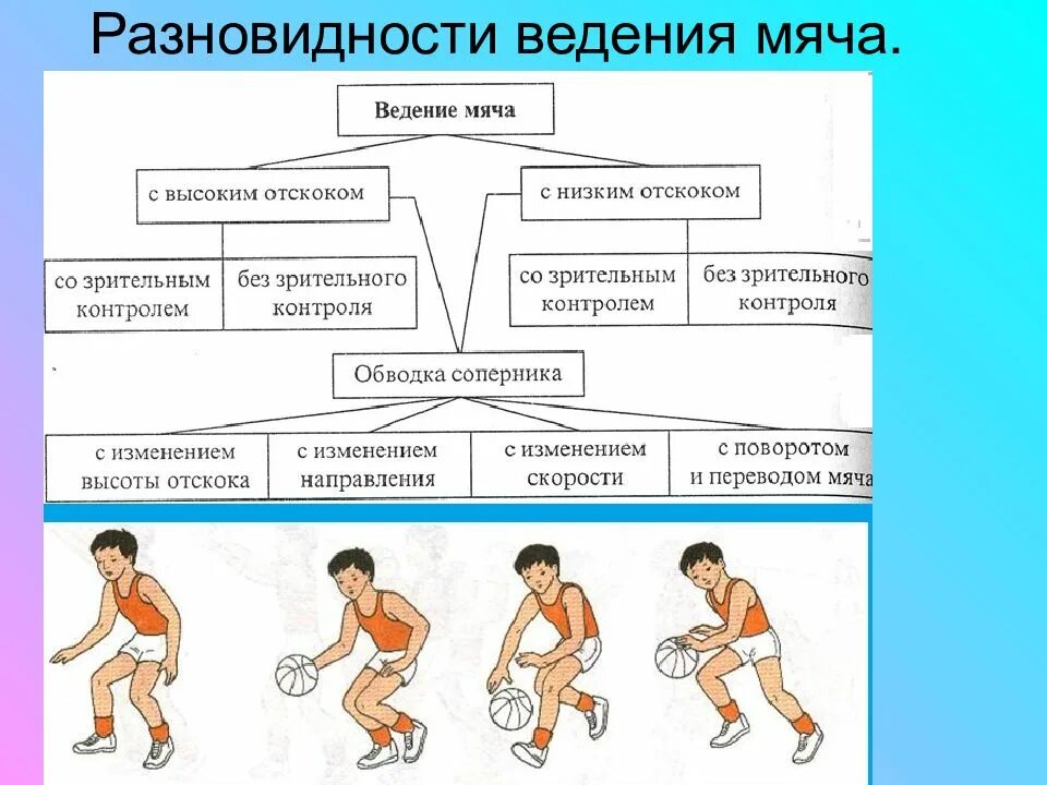 Ведение мяча в движении в баскетболе. Баскетбол ведение мяча физра. Разновидности ведения мяча в баскетболе. Положение игрока при ведении мяча в баскетболе. Доклад на тему техника ведения мяча в баскетболе.