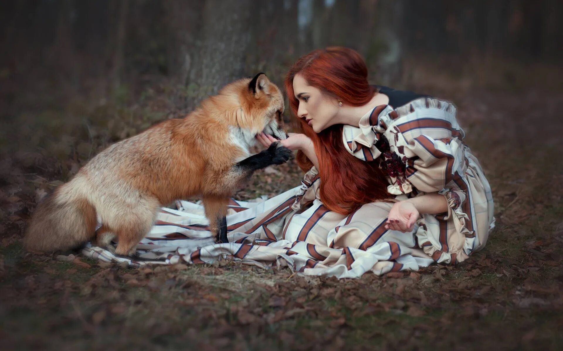 Девушка и лиса. Девушки с лисами. Рыжая девушка с лисой. Фотосессия с лисой. Fox человек