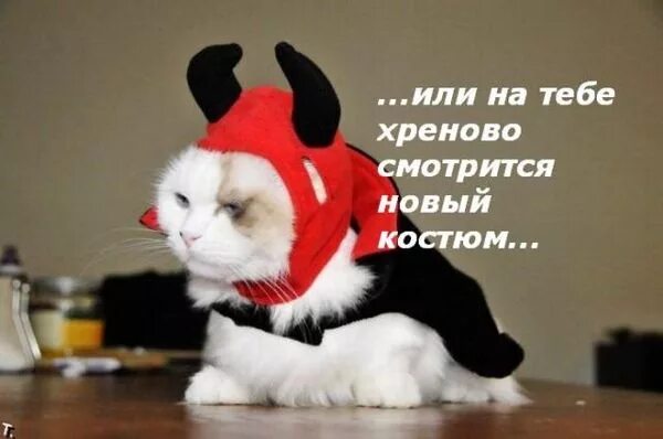 Смотрится как новый. Смотрится как новый