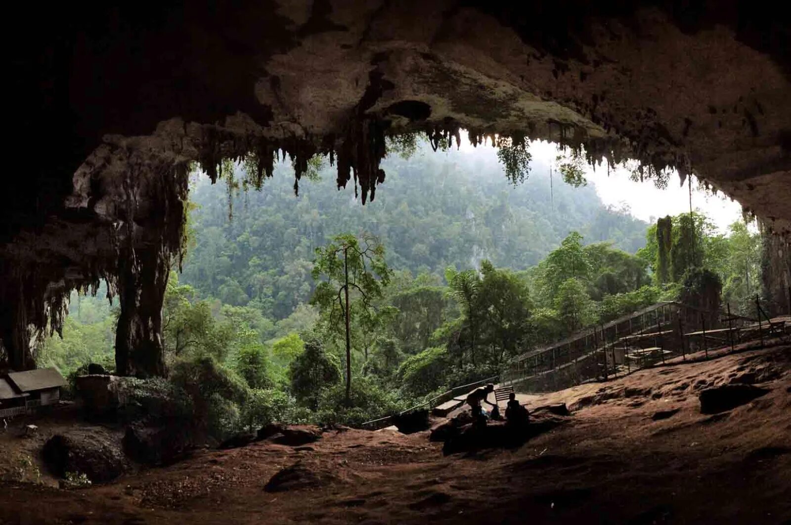Ancient cave. Национальный парк Ниах Малайзия. Национальный парк Гунунг мулу Малайзия. Ниах Саравак. Национальный парк Ниах остров Борнео.