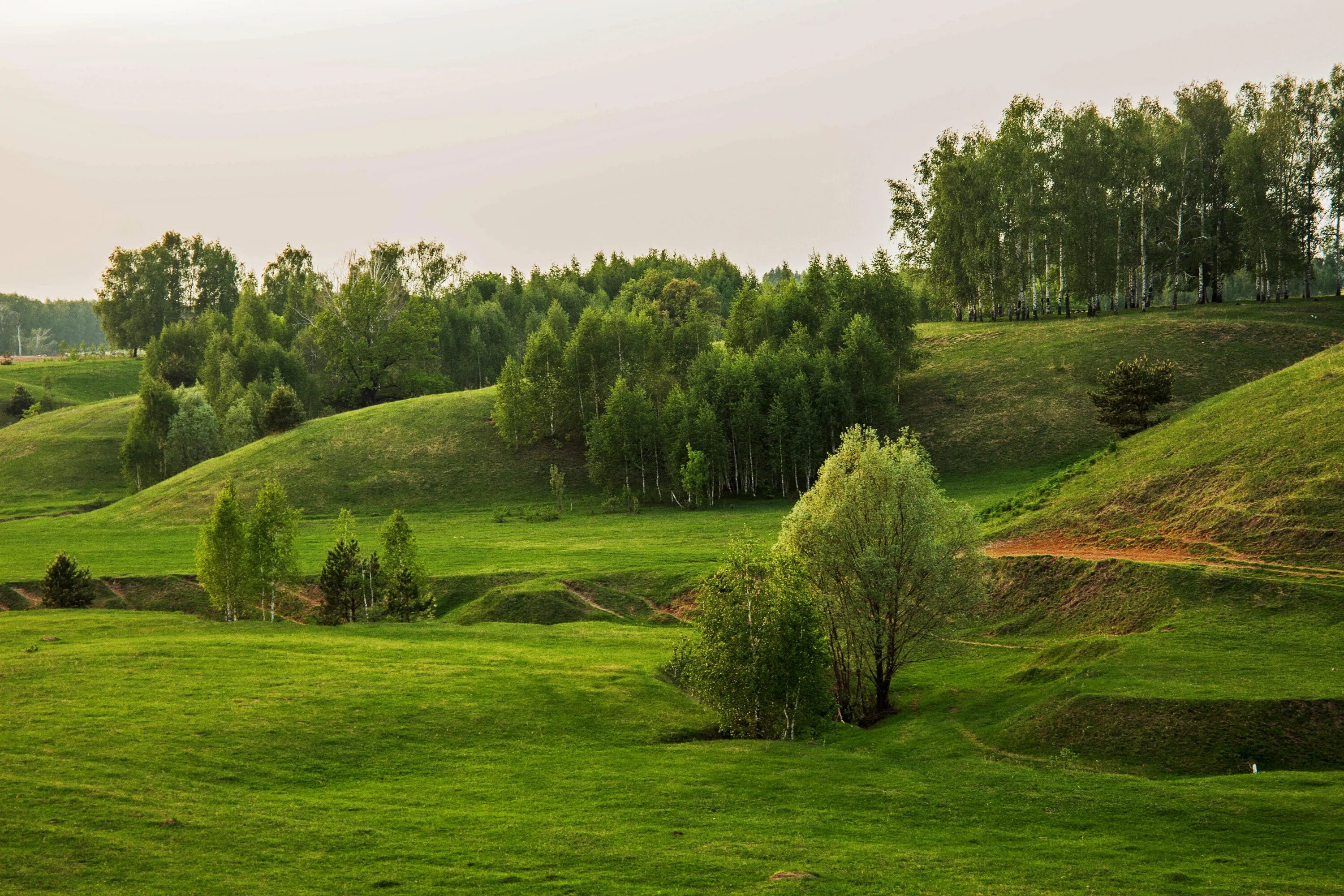 Природа на татарском. Природа , республика татарстан (татарстан). ландшафт татарстана. холмы татарстана. долина в татарстане.