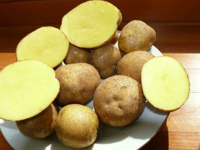 Пароли картофель характеристика. Сорт картофеля Венета. Семенной картофель Винета. Картошка сорт Винета. Картофель Калинка.
